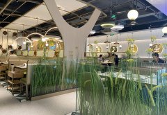 餐廳生意不好應(yīng)該怎么辦，餐飲老兵的8條建議：其中有幾條餐飲人都踩過！